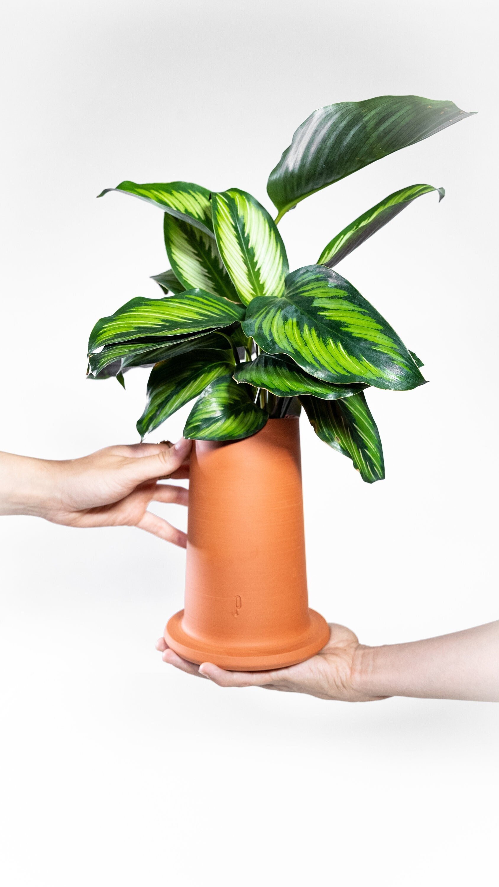 Maxi-Mitrons Xl - Pot de Plante d'extérieur en Céramique Design Toit Paris Collection Outside