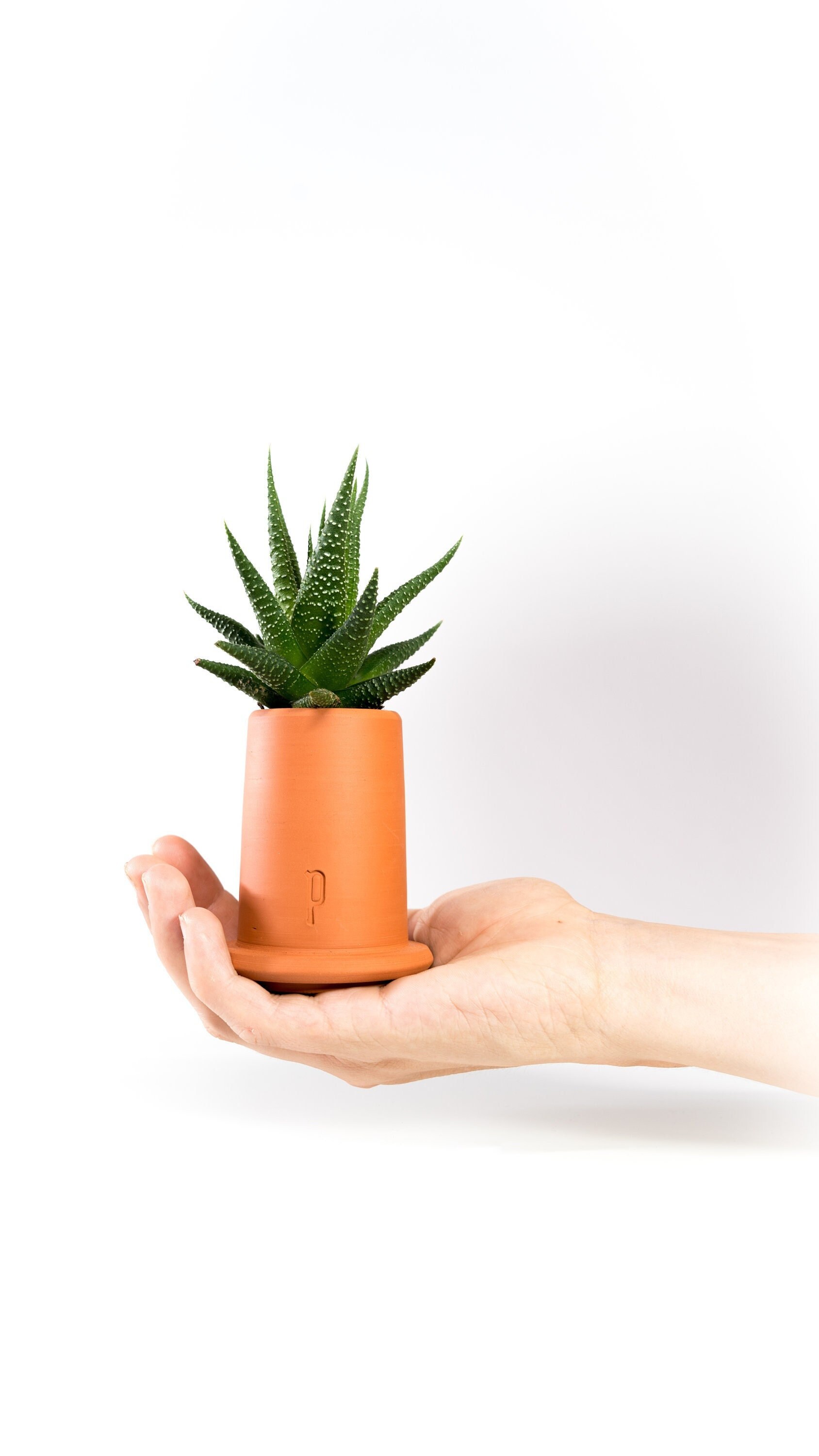 Mini-Mitron Xxs - Pot de Plante d'intérieur en Céramique Design Toit Paris -