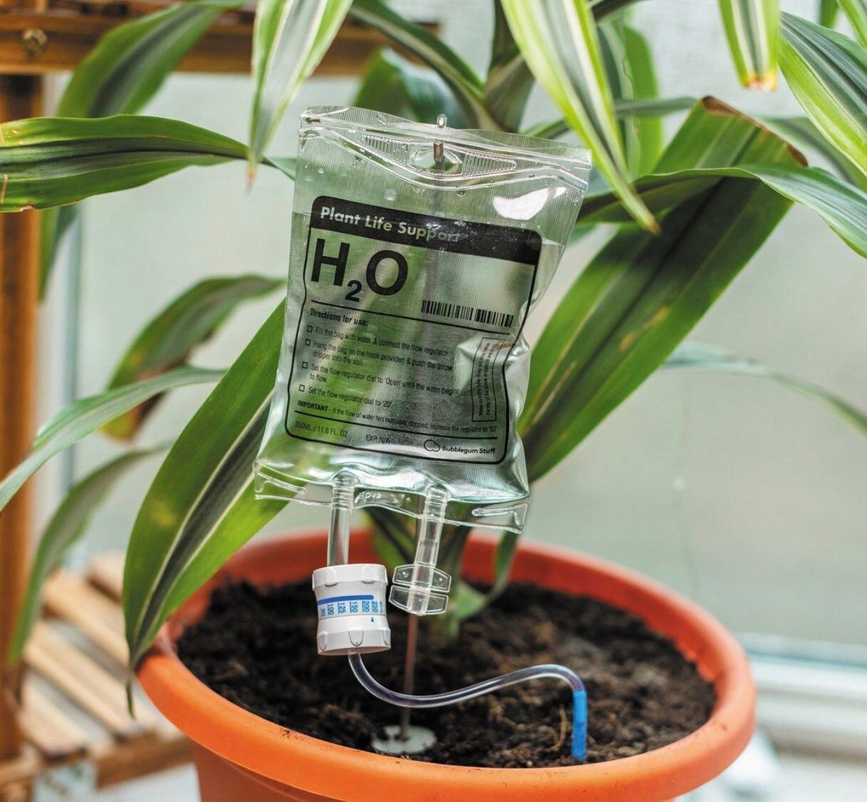 Perfusion H20 Pour Plantes Maxi I Cadeau Original Amoureux Des