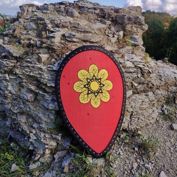 Kite Shield, Medieval Shield, Gift Shield, Painted Shield, Knight Shield, LARP, SCA, Hema, IMCF