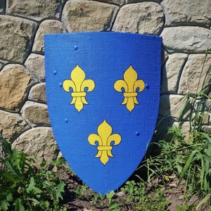 May include: A blue shield with three yellow fleur-de-lis symbols. The shield has a textured surface and is decorated with small, round rivets. The shield is set against a stone wall and greenery.