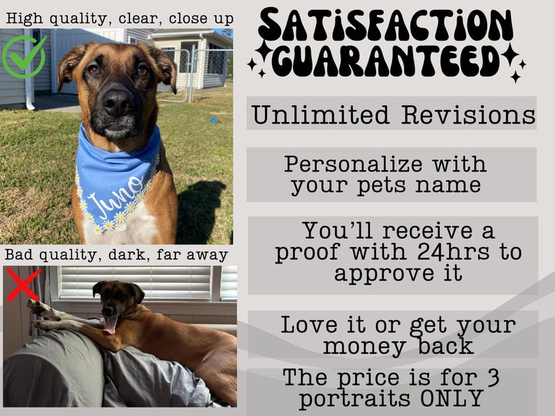 Benutzerdefinierte Haustier Porträt Stempel Shirt, Komfort Farben Shirt, personalisierte Hund Katze Shirt, Haustier-Liebhaber-Geschenk, Haustier-Memorial Sweatshirt, Erinnerung Bild 9