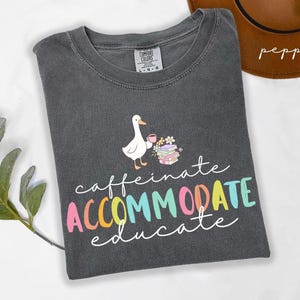 Maglietta per insegnanti Comfort Colors, Caffeinate Accommodate Educate TShirt, Special Education Silly Goose Tee, Felpa per insegnanti per il ritorno a scuola
