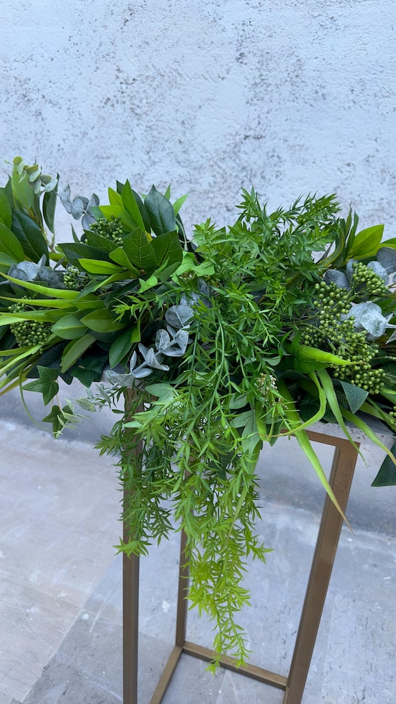 was ist bio saatgut BIO-Saatgut-Set Naschgarten 6 samenfeste Gartenpflanze kaufen