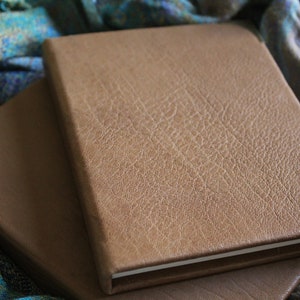 May include: Two brown leather-bound journals with a metal clasp on the top journal.