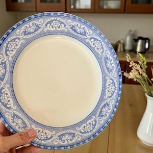 May include: A white ceramic plate with a blue floral border. The plate has a wide, decorative border with a repeating pattern of flowers and scrolls. The centre of the plate is plain white. The plate is held by a hand.
