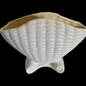 May include: A white, textured ceramic seashell-shaped wall pocket or planter. The interior is a light cream colour. The shell has a textured, ridged surface and is supported by two small, rounded feet. The background is black.