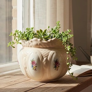 May include: A cream ceramic plant pot with a scalloped edge, decorated with floral patterns. The pot is filled with green succulents and trailing plants. It rests on a wooden surface near a window, creating a bright display. The pot is approximately 25 cm in diameter.
