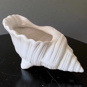 May include: A white ceramic seashell planter with a textured, ridged surface. The planter has a large opening and a curved shape, ideal for displaying small plants or decorative items. The seashell design adds a coastal touch.