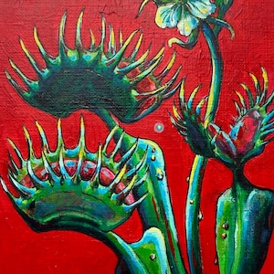 Venus Fly Trap - 5&quot;x7&quot; Mini Print