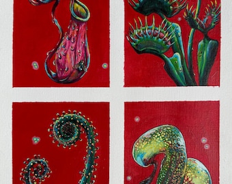 Fleischfressende Pflanzenstudie - 11x14 "Giclee Druck