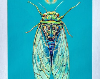 Goodnight Cicada - 9"x12" Print