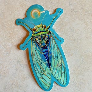 May include: A colorful sticker featuring a detailed illustration of a cicada insect. The cicada has green, blue, and yellow tones, with a stylized design. The sticker has a light blue background with a crescent moon.