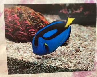 Wild & Punny Birthday Card: Blue Tang