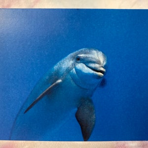Dzika i dowcipna kartka urodzinowa: Delfin