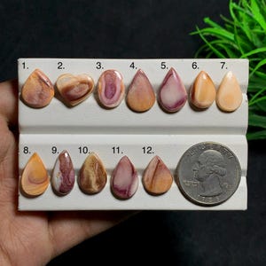 Könnte beinhalten: Zwölf polierte, tropfen- und herzförmige Cabochons in Rosa-, Pfirsich- und Cremetönen, angeordnet auf einem weißen Display mit den Nummern 1 bis 12. Eine US-Vierteldollarmünze liegt als Größenvergleich neben den Steinen.