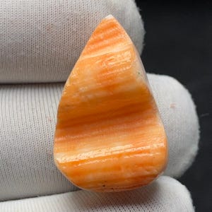 Naturlig taggig ostronskal - 23,6x15,2x7,9 MM 18,84 karat - Lös ädelsten för smyckestillverkning, sakral chakrasten