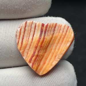 Può includere: Un pezzo di conchiglia lucidata a forma di cuore con un motivo naturale di creste e strisce verticali in tonalità crema, giallo e arancione rossastro intenso. La superficie presenta una consistenza organica liscia con variazioni di colore.