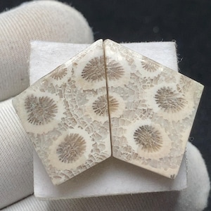 Puede incluir: Una taza de cerámica blanca con asa negra y el texto "But First, Coffee" en negrita negra. La taza se destaca sobre un fondo borroso, resaltando su diseño limpio.