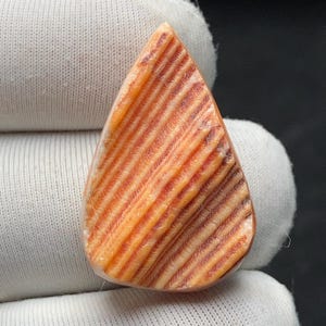 Può includere: Un cabochon a forma di goccia caratterizzato da una texture naturale a coste con bande alternate di tonalità arancione caldo e marrone rossastro intenso. La superficie presenta un motivo lineare distinto che ricorda striature organiche.