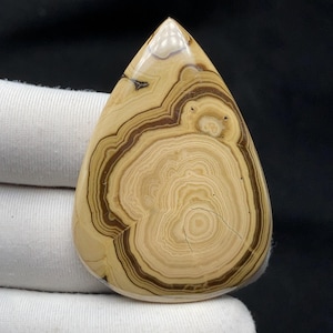 Puede incluir: Una gema pulida en forma de lágrima con bandas concéntricas de color beige claro y marrón oscuro. La superficie de la piedra es lisa, mostrando un patrón natural y orgánico. La gema se sostiene contra una tela blanca.