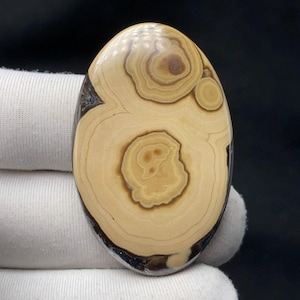 Puede incluir: Gema de forma ovalada con un patrón único. La piedra presenta círculos concéntricos en tonos beige y marrón, que recuerdan a un paisaje natural. Los bordes son de color marrón oscuro, creando un contraste llamativo. La superficie pulida refleja la luz.