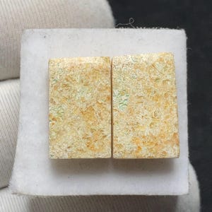 Par de cabujones de coral fósil natural / 15,8x10x4 mm 12,95 quilates / Presentan patrones que se asemejan a flores y estrellas.