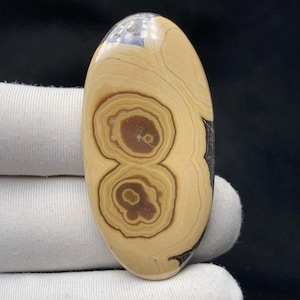 Puede incluir: Una piedra pulida de forma ovalada con un patrón beige y marrón. La piedra presenta círculos concéntricos que se asemejan a ojos, con un centro marrón oscuro y anillos beige más claros. La piedra tiene una superficie lisa y brillante y un borde oscuro.