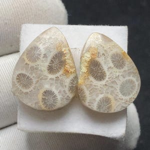 Puede incluir: Una taza de cerámica blanca con un asa negra y el texto "But First, Coffee" en un estilo manuscrito. La taza está sobre una superficie blanca. La taza mide aproximadamente 10 cm de alto.