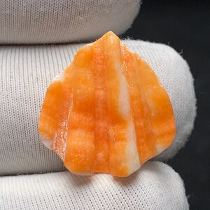 Può includere: Una pietra preziosa intagliata a forma di conchiglia, caratterizzata da bande verticali alternate di arancione vibrante e bianco crema. La superficie presenta una consistenza liscia e lucida con creste distinte che seguono la struttura a ventaglio.