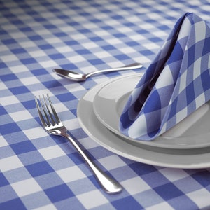 Blue Gingham Napkins and Tablecloth