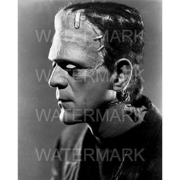 DIGITAL DOWNLOAD- Frankenstein Monster Photo Vintage Horror Retro 1930s Weird Gothic Old Hollywood Halloween Boris Karloff Portrait Profile