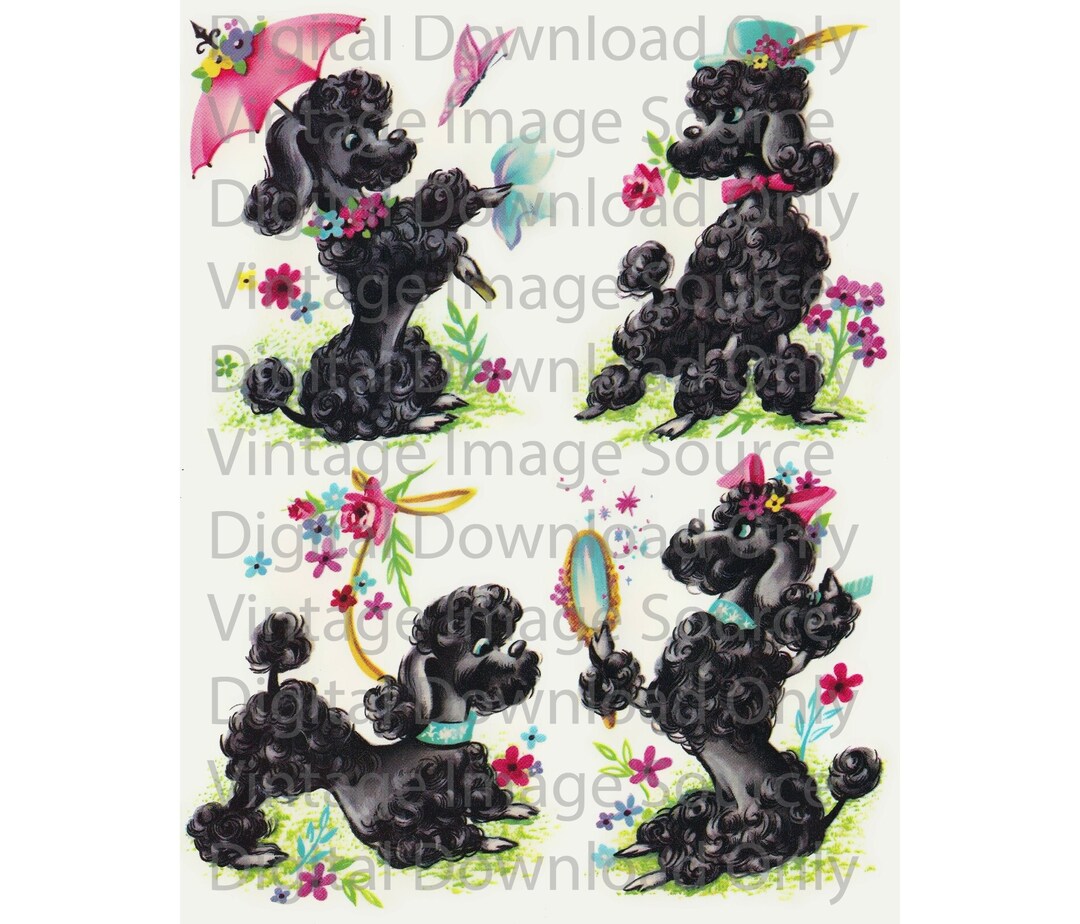 Digital Download PRINTABLE 1950s Vintage Poodle Illustration - Etsy
