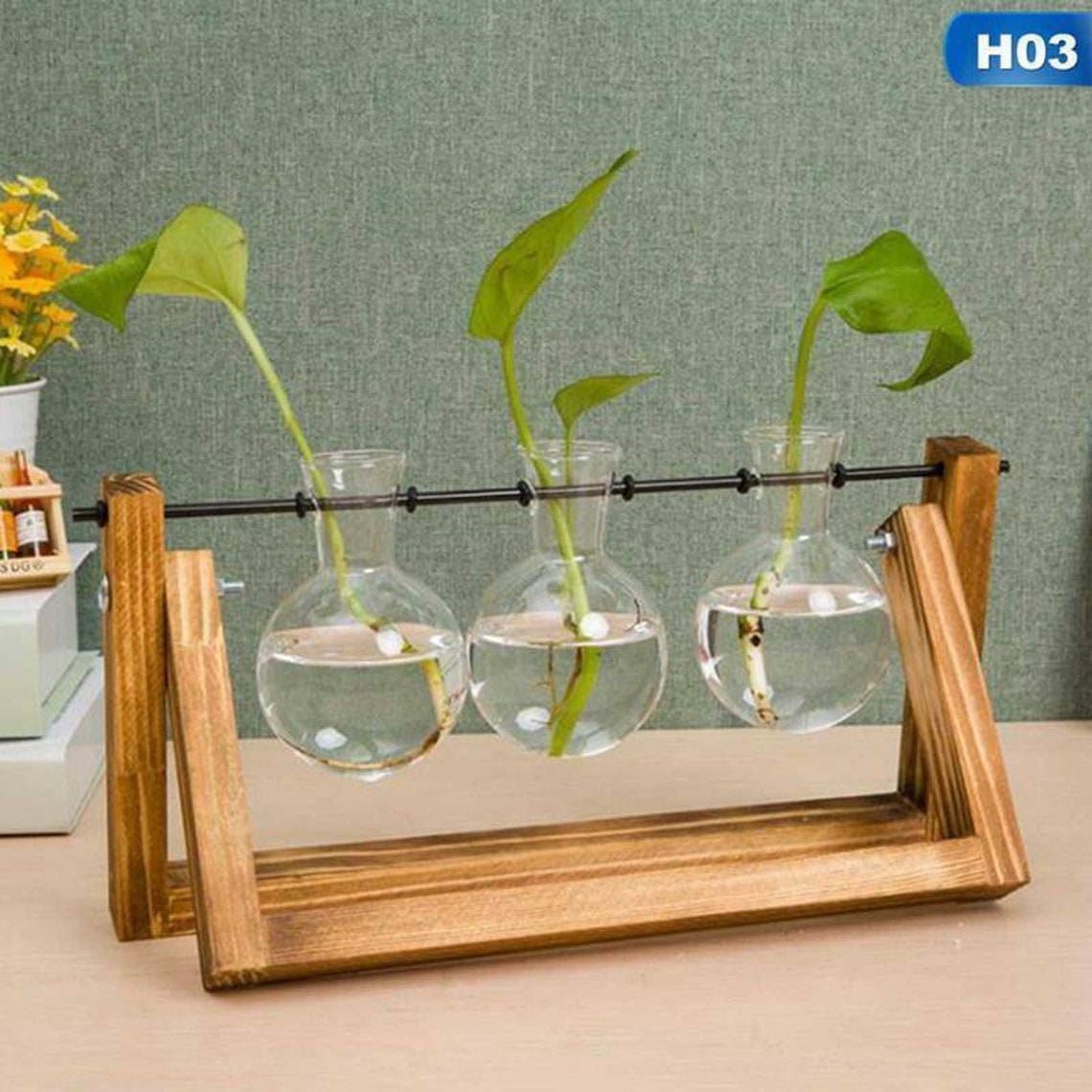 Hydroponic 3 Glass Vase Propagation Station Propagation Plant Etsy