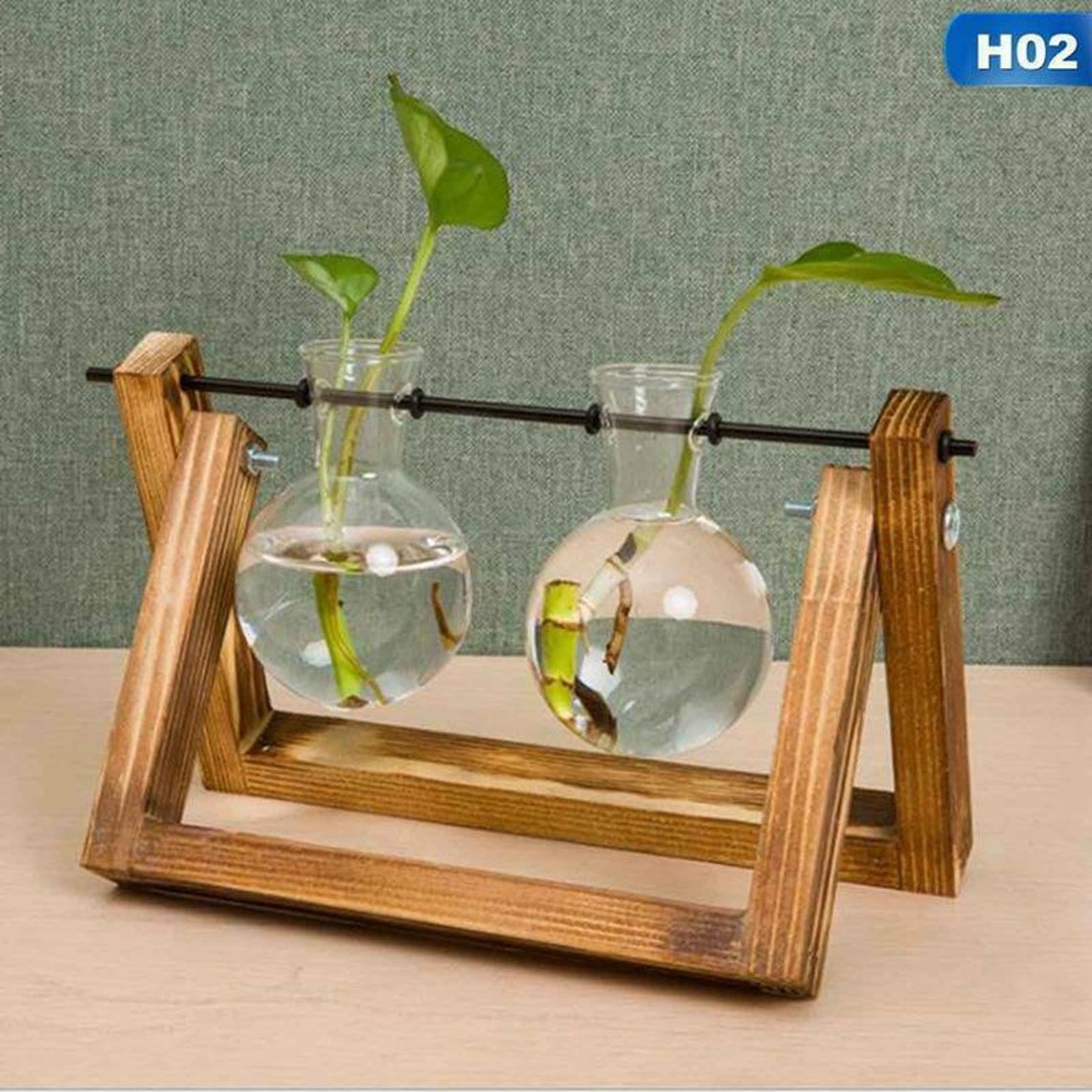 Hydroponic 2 Glass Vase Propagation Station Propagation Plant Etsy