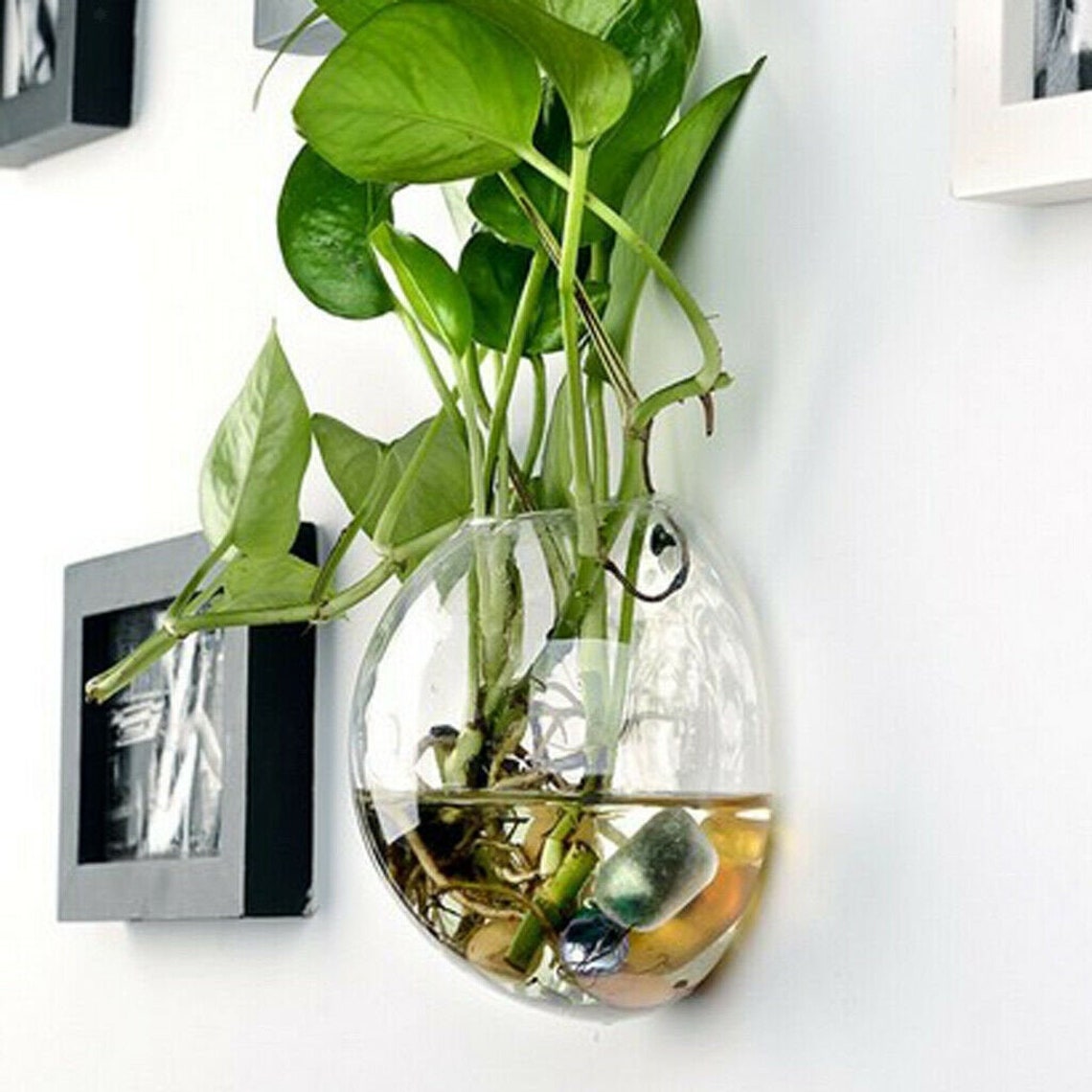 Wall Hanging Glass Terrariums Planter Flower Vase for Etsy