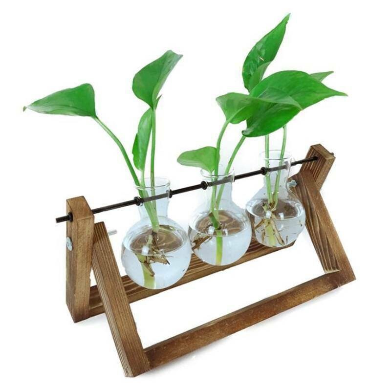 Hydroponic 3 Glass Vase Propagation Station Propagation Plant Etsy
