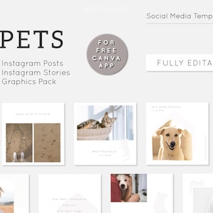 Plantillas de Instagram de mascotas. 40 plantillas de canva de Instagram para perros, kit de publicaciones e historias para feeds de Instagram, plantillas de redes sociales para negocios de mascotas.
