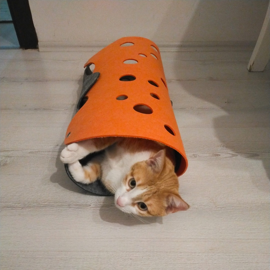 Cat Tunnel, Cat Toy, Felt Tunnel, Collapsible Pet Tunnel for Creative