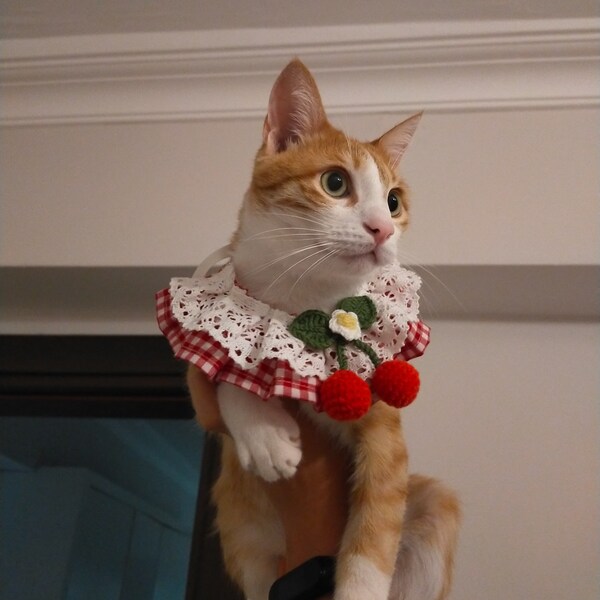 Collier de collier de chat au crochet fait à la main avec collier à volants en dentelle Chat mignon Accessoires de cravate faits à la main Anniversaire Pet Thanksgiving Cadeau Chaton