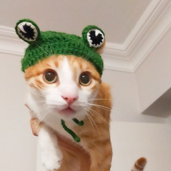 33 Free Crochet Cat Hat Patterns • Made From Yarn