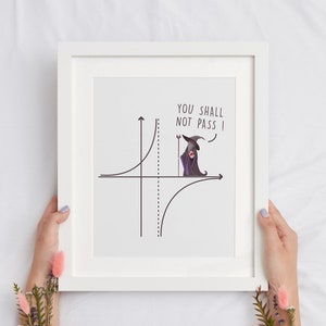 May include: A white framed print with a black and white illustration of a wizard standing on a graph with the text "You shall not pass!"