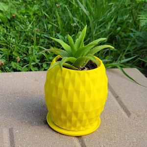 May include: A bright yellow pineapple-shaped planter with a matching saucer, holding a green aloe vera plant. The planter has a geometric pattern and sits on a concrete surface, with a backdrop of green grass.