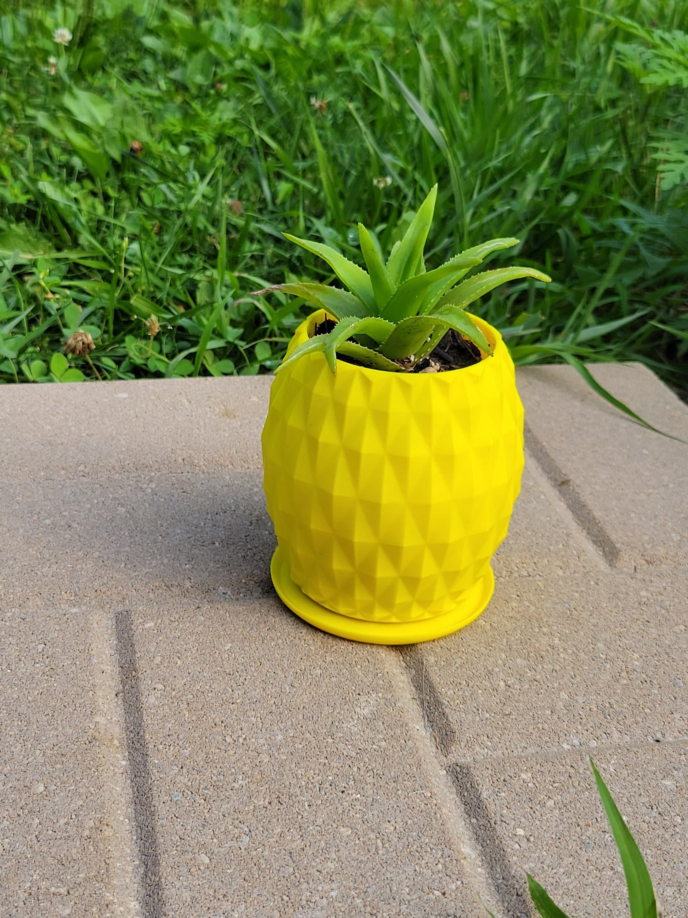 Pineapple Planter