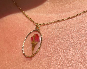 Necklace Real Rose Red Dried - Stainless Steel Chain and Pendant Dried Flowers, Resin Crystal Rose Natural Jewel Creator