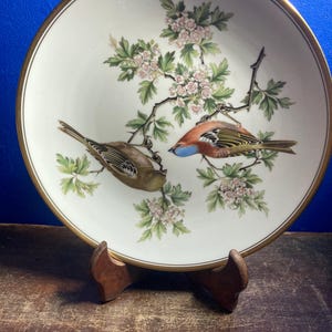 Garden Birds by Spode Plates - Etsy
