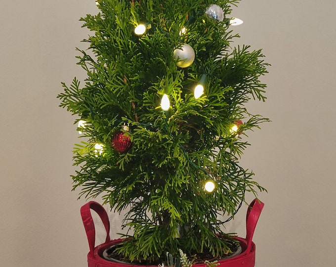Tabletop Christmas Tree, Prelit Christmas Tree, Small Christmas Tree