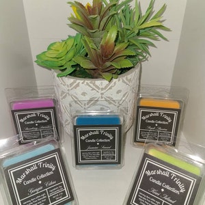 May include: Five small square wax melts in clear plastic packaging. The wax melts are in the colors pink, blue, yellow, green, and light blue. Each wax melt has a label with the text "Marshall Trinity Candle Collection" and the name of the scent. The scents are Raspberry Sunset, Jasmine Sunset, Peach Passion, Kiwi Island, and Georgia Citrus.