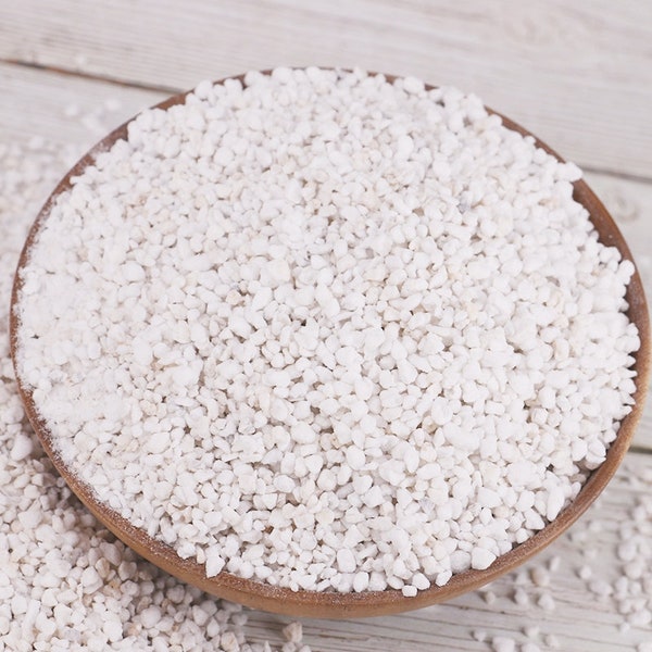 Perlite(1L) - Composant du sol et | d’addition Aroid | Hoya| | succulentes Terreau | Terreau | Terrarium | DIY Terrarium Kit