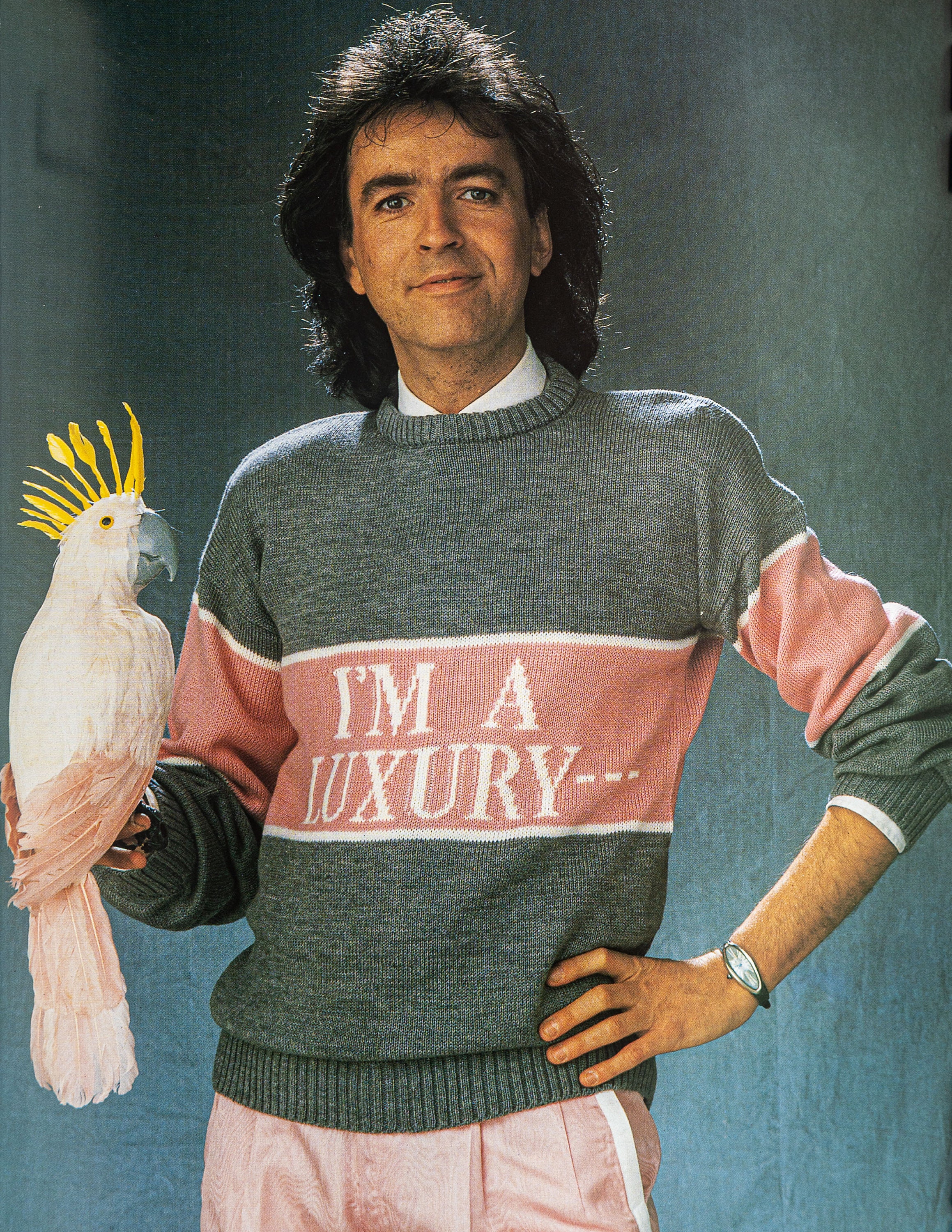 Knitting pattern, I'm a luxury few can afford sweater, pullover, …